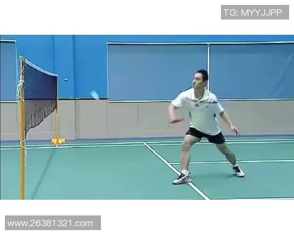 赵丽独家揭秘羽毛球技巧与心得分享助你提升球技的秘密宝典